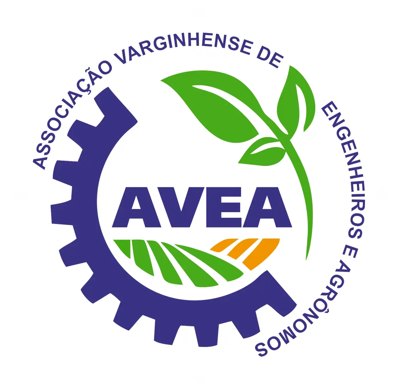 AVEA Associação Varginhense De Engenheiros e Agrônomos